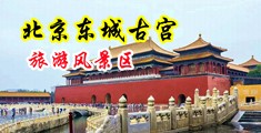 最美操屄視頻中国北京-东城古宫旅游风景区