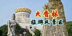 操b视频在线观看在线中国浙江-绍兴大香林旅游风景区